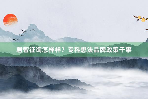 君智征询怎样样？专科想法品牌政策干事